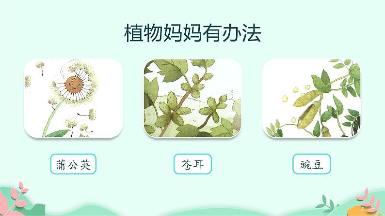 部编版语文二年级上册 3 植物妈妈有办法完整（课件）第3页