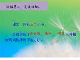 部编版语文二年级上册 3 植物妈妈有办法(34)（课件）