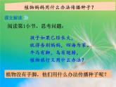 部编版语文二年级上册 3 植物妈妈有办法(34)（课件）