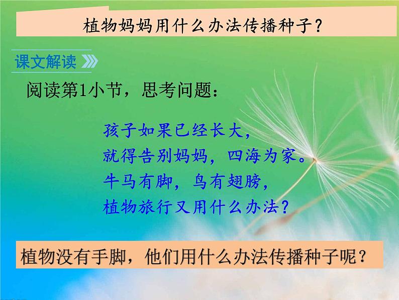 部编版语文二年级上册 3 植物妈妈有办法(34)（课件）第5页