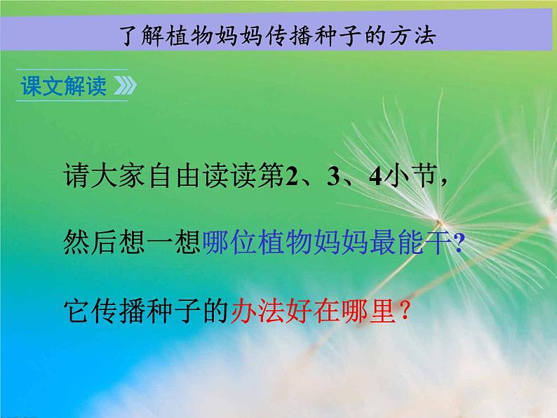 部编版语文二年级上册 3 植物妈妈有办法(34)（课件）第6页