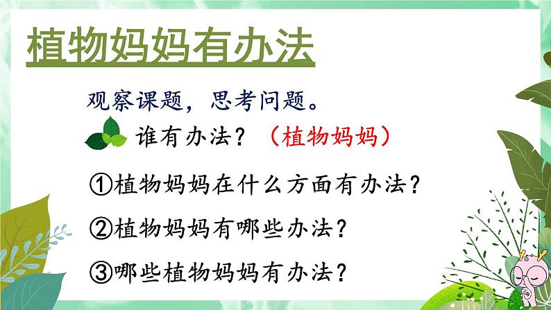 部编版语文二年级上册 3 植物妈妈有办法（课件）02