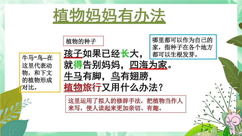 部编版语文二年级上册 3 植物妈妈有办法（课件）04