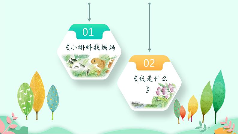 部编版语文二年级上册 3 植物妈妈有办法完整 (2)（课件）01