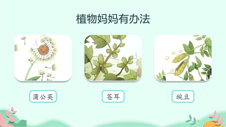 部编版语文二年级上册 3 植物妈妈有办法完整 (2)（课件）05