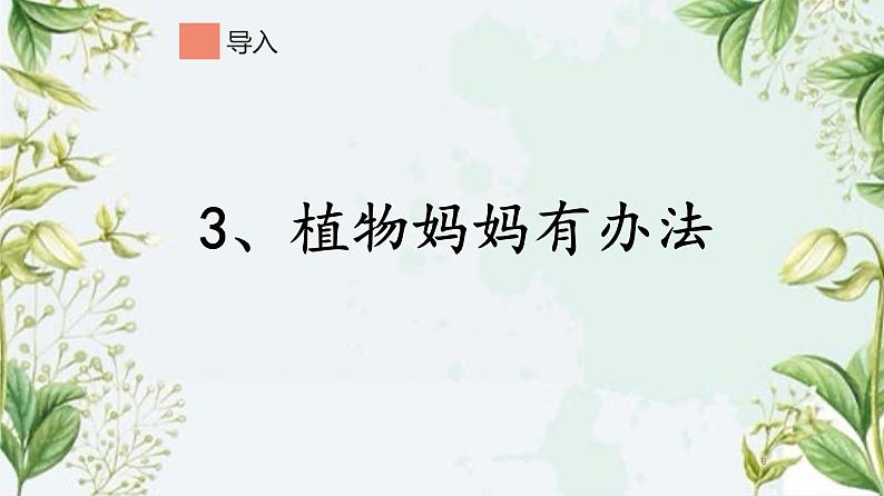 部编版语文二年级上册 3 植物妈妈有办法(15)（课件）第6页