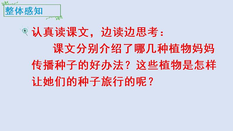 部编版语文二年级上册 3 植物妈妈有办法(1)（课件）第6页