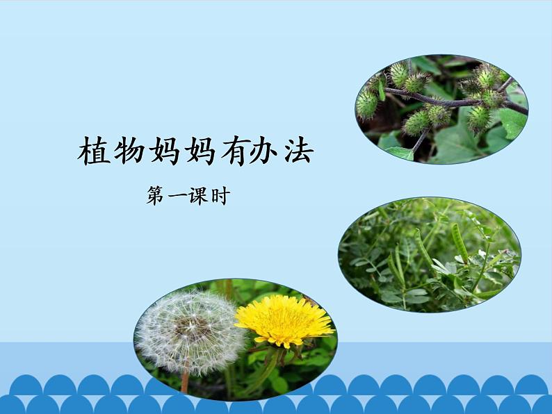 部编版语文二年级上册 3 植物妈妈有办法(6)（课件）第2页