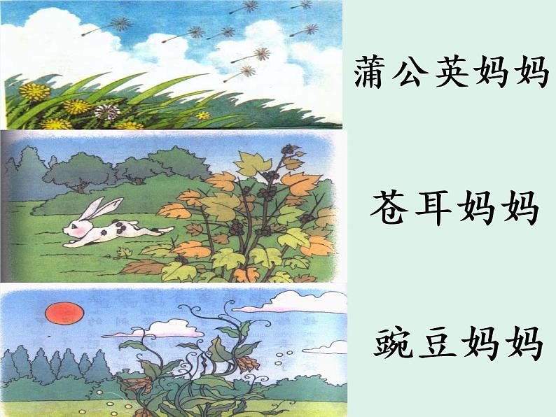 部编版语文二年级上册 3 植物妈妈有办法(14)（课件）第4页