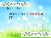 部编版语文二年级上册 3 植物妈妈有办法(3)（课件）