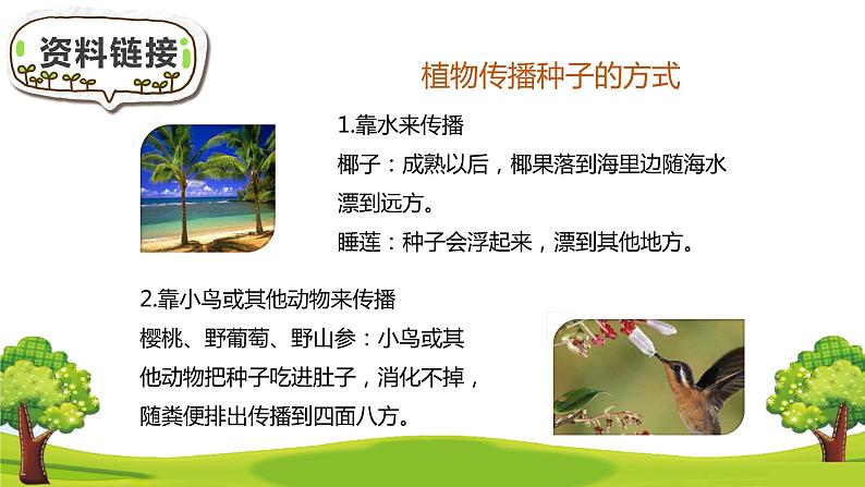 部编版语文二年级上册 3 植物妈妈有办法(32)（课件）第3页