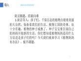 部编版语文二年级上册 3 植物妈妈有办法(5)（课件）