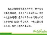 部编版语文二年级上册 3 植物妈妈有办法(28)（课件）