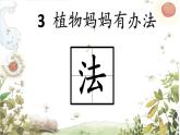 部编版语文二年级上册 3 植物妈妈有办法(27)（课件）