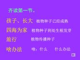 部编版语文二年级上册 3 植物妈妈有办法(7)（课件）