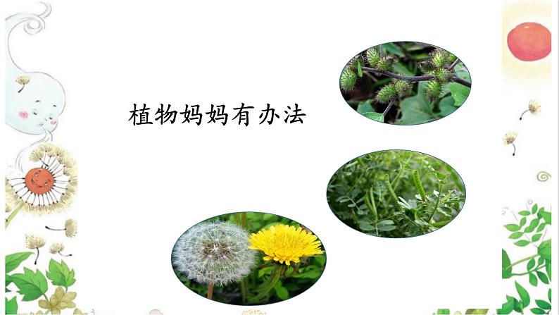 部编版语文二年级上册 3 植物妈妈有办法(30)（课件）第2页