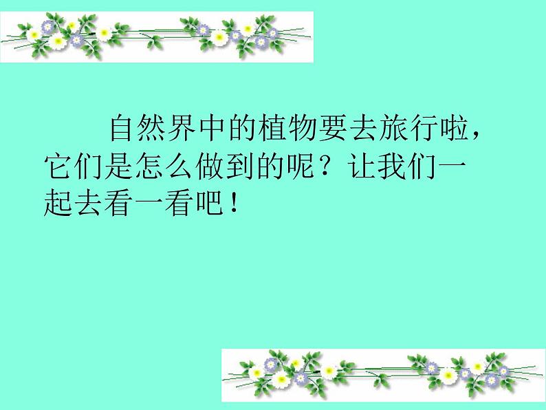 部编版语文二年级上册 3 植物妈妈有办法(9)（课件）第7页