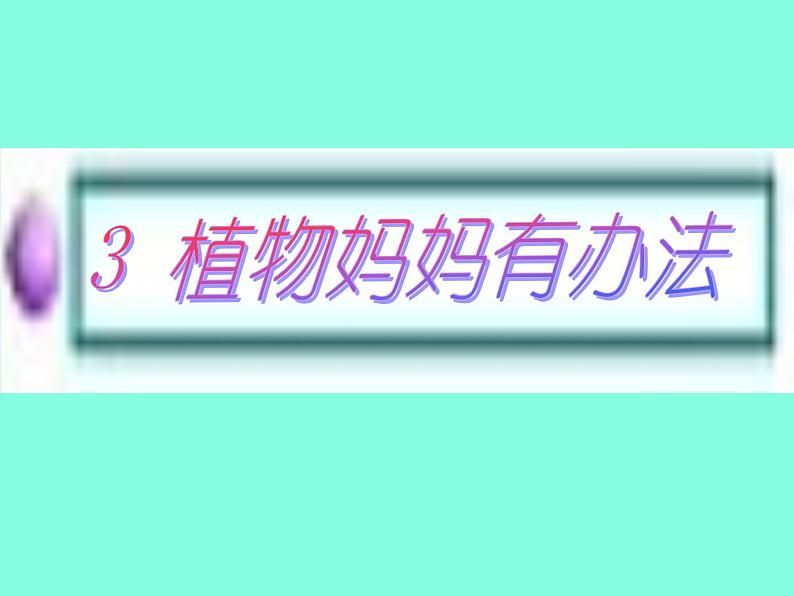 部编版语文二年级上册 3 植物妈妈有办法(9)（课件）第8页