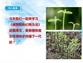 部编版语文二年级上册 3 植物妈妈有办法(37)（课件）