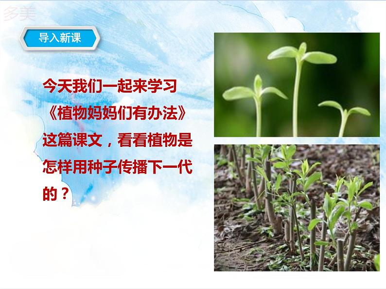 部编版语文二年级上册 3 植物妈妈有办法(37)（课件）第2页