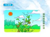 部编版语文二年级上册 3 植物妈妈有办法(37)（课件）