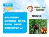 部编版语文二年级上册 3 植物妈妈有办法(37)（课件）