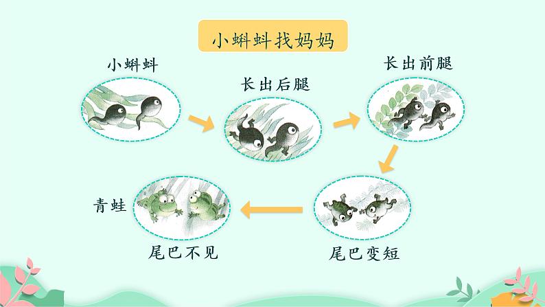 部编版语文二年级上册 语文园地一完整（课件）第2页