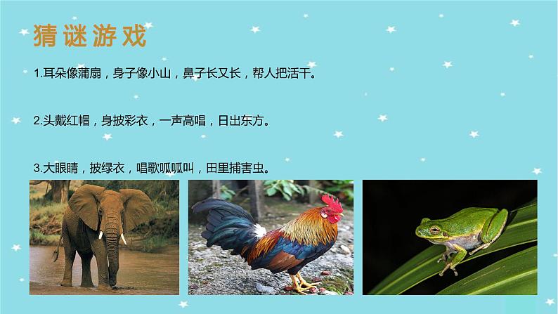 部编版语文二年级上册 口语交际：有趣的动物(1)（课件）03