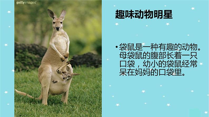 部编版语文二年级上册 口语交际：有趣的动物(1)（课件）05