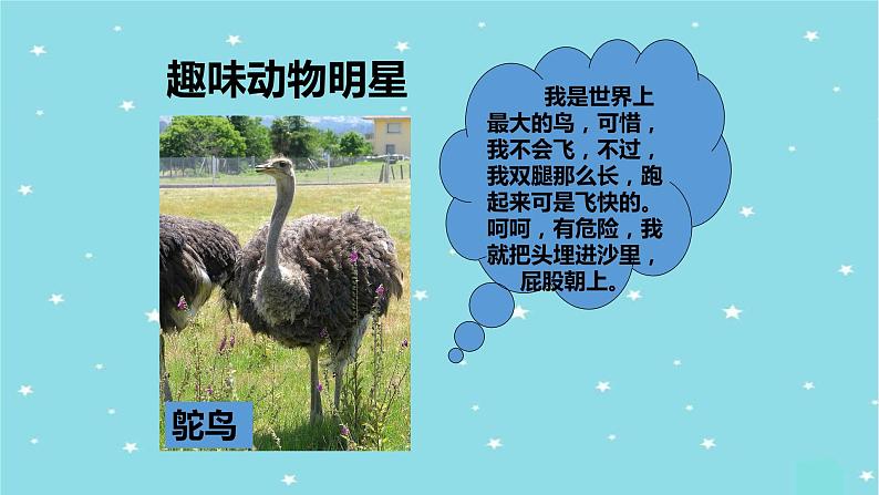 部编版语文二年级上册 口语交际：有趣的动物(1)（课件）06