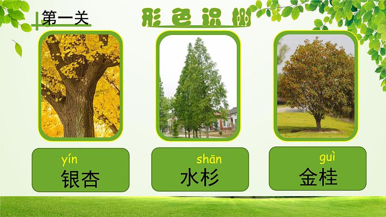 部编版语文二年级上册 2 《树之歌》PPT（课件）06