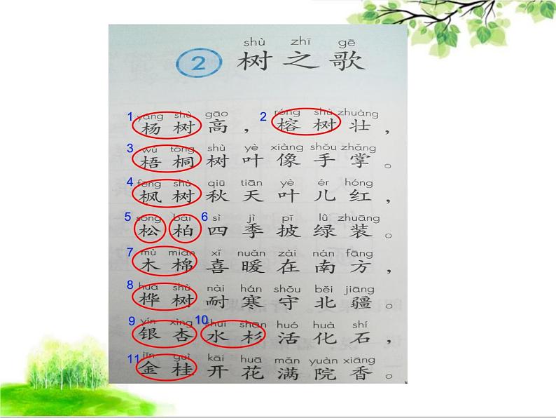 部编版语文二年级上册 2 树之歌识字写字教学（课件）04