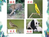 部编版语文二年级上册 3 拍手歌(1)（课件）