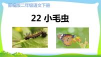 小学语文人教部编版二年级下册22 小毛虫教学演示课件ppt