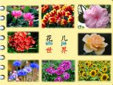 统编版语文二年级上册3拍手歌课件(1)