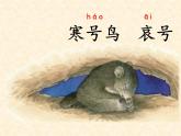 统编版语文二年级上册13 寒号鸟  课件(23张）