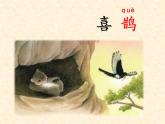 统编版语文二年级上册13 寒号鸟  课件(23张）