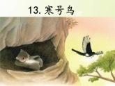 统编版语文二年级上册13 寒号鸟  课件(19张)