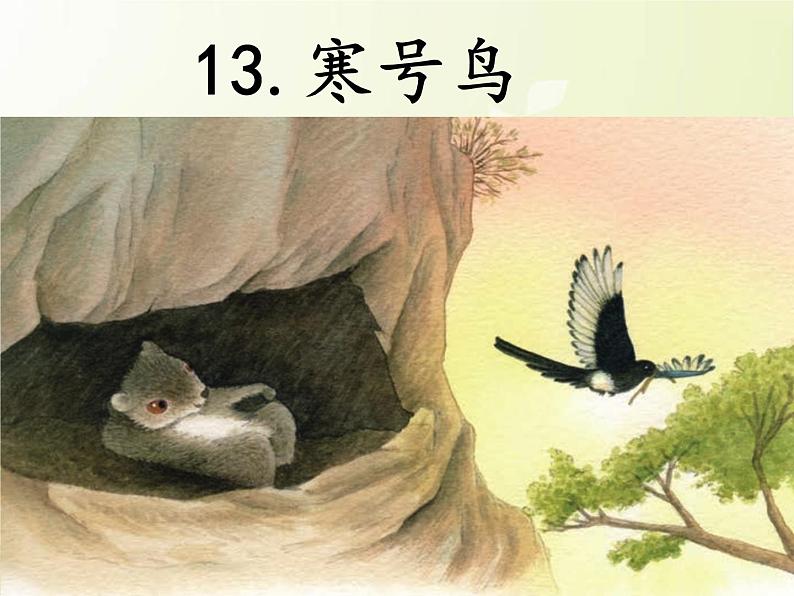 统编版语文二年级上册13 寒号鸟  课件(19张)01