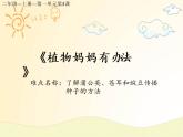 统编版语文二年级上册3 植物妈妈有办法   课件（15张）