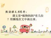 统编版语文二年级上册3 植物妈妈有办法   课件（15张）