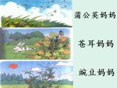 统编版语文二年级上册3 植物妈妈有办法   课件（15张）