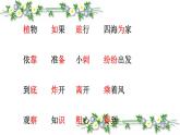二年级上册语文课件-3植物妈妈有办法-部编版(1)