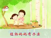 二年级上册语文课件-3植物妈妈有办法-部编版(2)