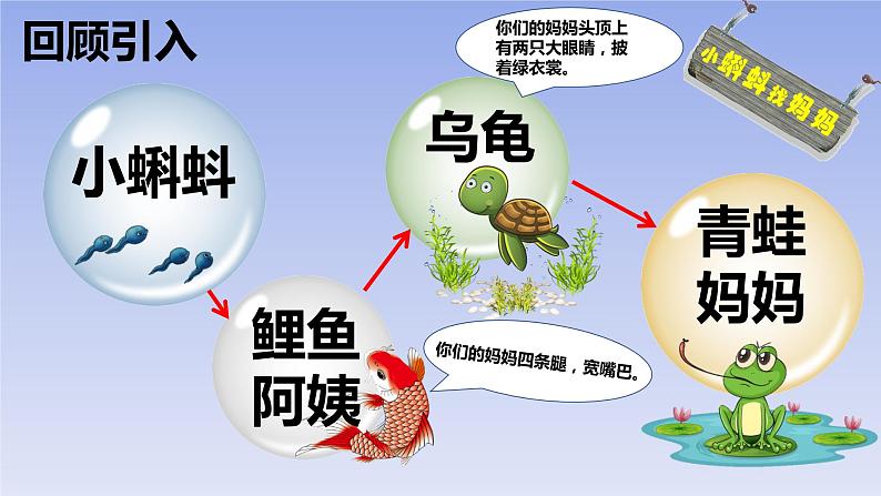 部编版语文二年级上册 1 小蝌蚪变形记（课件）第2页