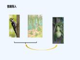 统编版语文二年级上册14我要的是葫芦 课件（14张）