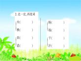 部编二年级上册语文 同步练习24　风娃娃课件