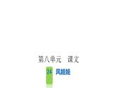 统编版语文二年级上册课文 24风娃娃课件PPT