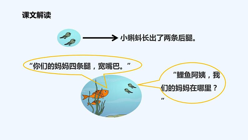 统编版语文二年级上册1小蝌蚪找妈妈 课件（14张）07