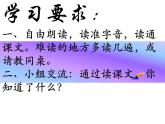 统编版语文二年级上册5 玲玲的画  课件(17张)